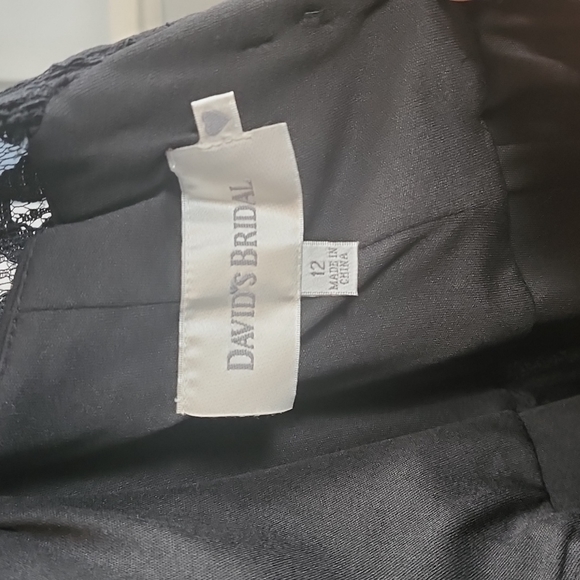 Black Davids Bridal Dress Size 12 - Picture 8 of 9